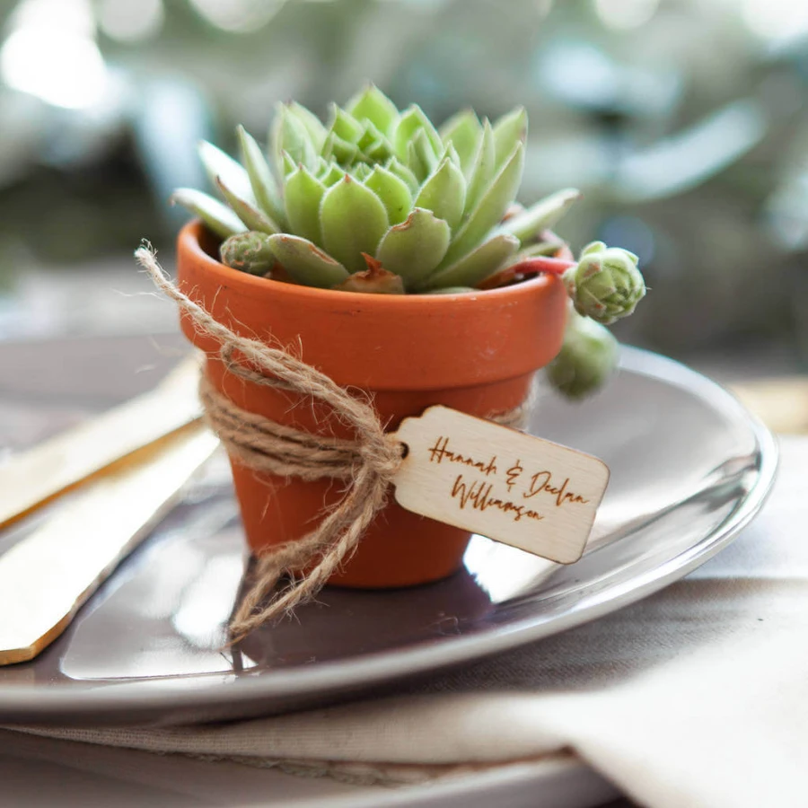 Succulent Wedding Bonbonniere