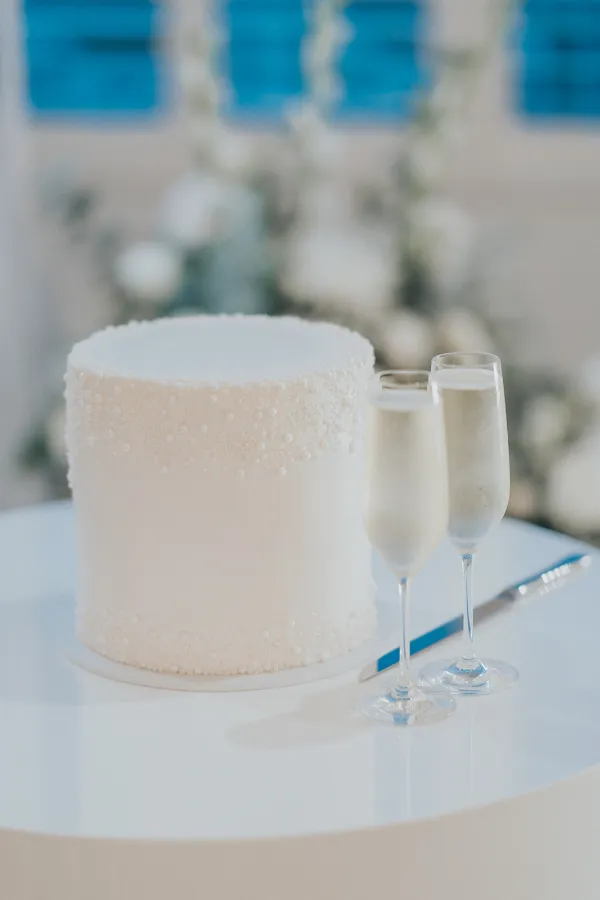 Minimalist Single Tier Wedding Cake